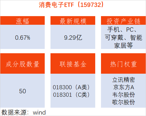 管家婆马报图今晚